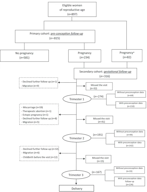 FIGURE 1 Flow diagram of participants. *Women who became pregnant after recruitment in RECIPAL and before the nutrition component started
