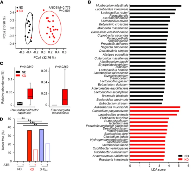 Figure 4. Ketogenic diet shifts the microbiota composition. (A) PCoA representing the differences in β diversity of fecal microbiota between dietary inter- inter-ventions normal diet (ND) versus Ketogenic diet (KD) at day 12 in RET–tumor bearing mice