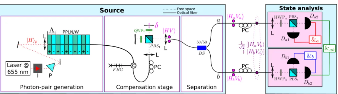 Figure 1. Experimental setup of the source and analysis system. The pairs of circles represent pairs of photons with their associated polarization quantum states, after the birefringence compensation system and after the beam-splitter (output of the source