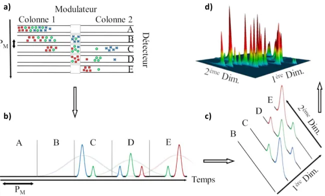 Figure 1 : Le principe de la GC×GC : (a) La période de modulation P M  correspond à la période  de temps pendant laquelle les analytes sont accumulés et concentrés dans le modulateur et au terme  de  laquelle  ils  sont  réinjectés  dans  la  seconde  colo