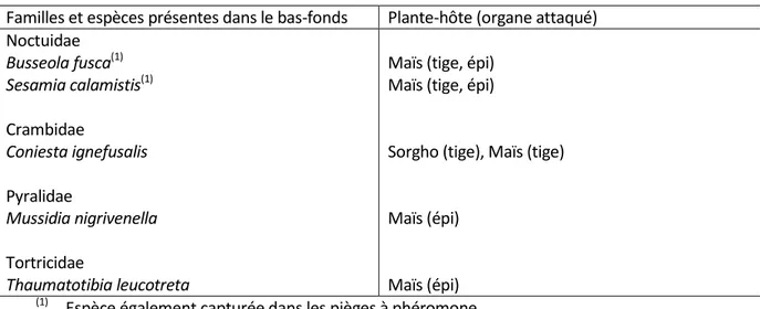 Tableau I :  Espèces  identifiées  dans  le  bas-fonds  rizicole  de  Pélébina  (Bénin)  au  cours  du  second  semestre 2013