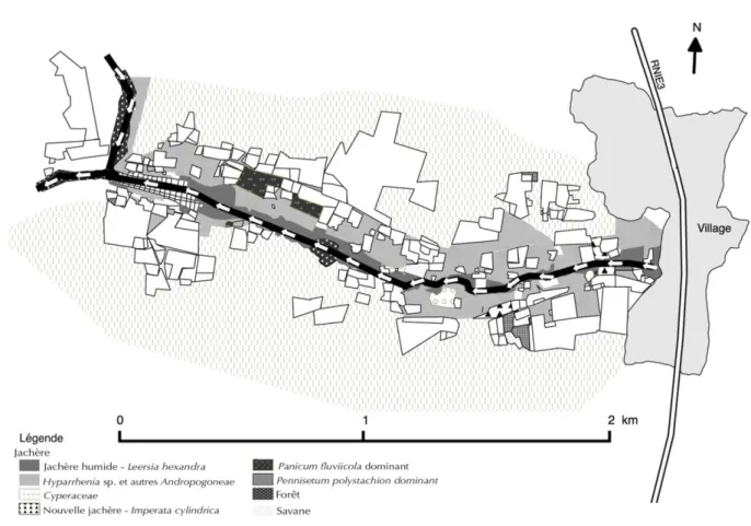 Figure 1 :  Localisation  des  différentes  zones  à  Poacées  et  Cyperacées  dans  le  bas-fonds  rizicole  de  Pélébina  (Bénin)  (octobre  2013)  Location  of  the  different  areas  where  Poaceae  and  Cyperaceae species prevailed in the Pélébina low