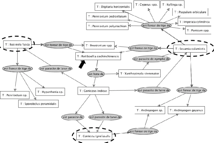 Figure  2  :  Représentation  graphique  (logiciel  Cogui)  des  interactions entre  S