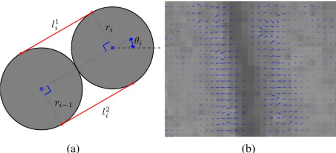 Fig. 2. Illustration of computation of the observation likelihood. (a) Let l 1 i and l i 2 be the two line segments that connect the tangent points of circles c i−1 and c i 