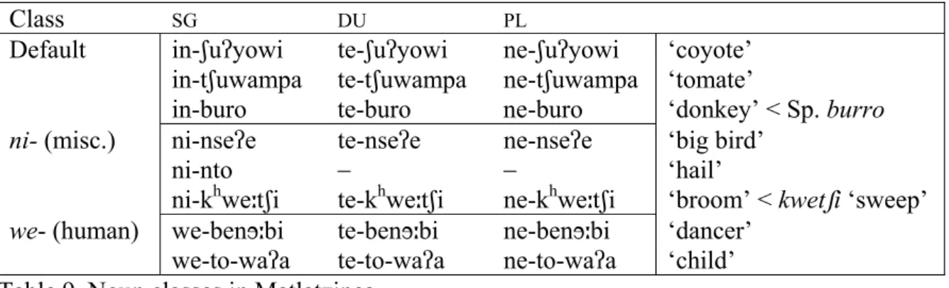 Table 9. Noun classes in Matlatzinca. 
