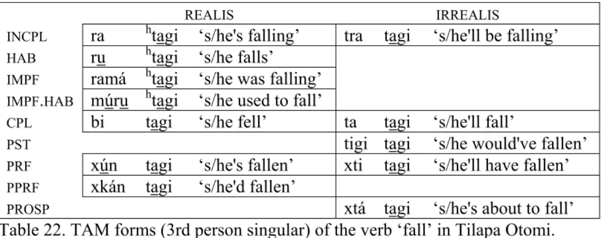 Table 21. TAM forms (3rd person singular) of the verb ‘see’ in Chichimec 