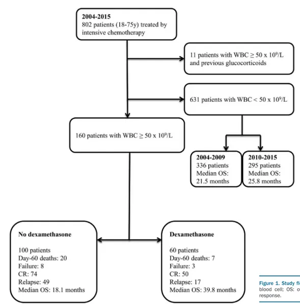 Figure 1. Study flowchart.  y: years; WBC: white blood  cell;  OS:  overall  survival;  CR:  complete response.