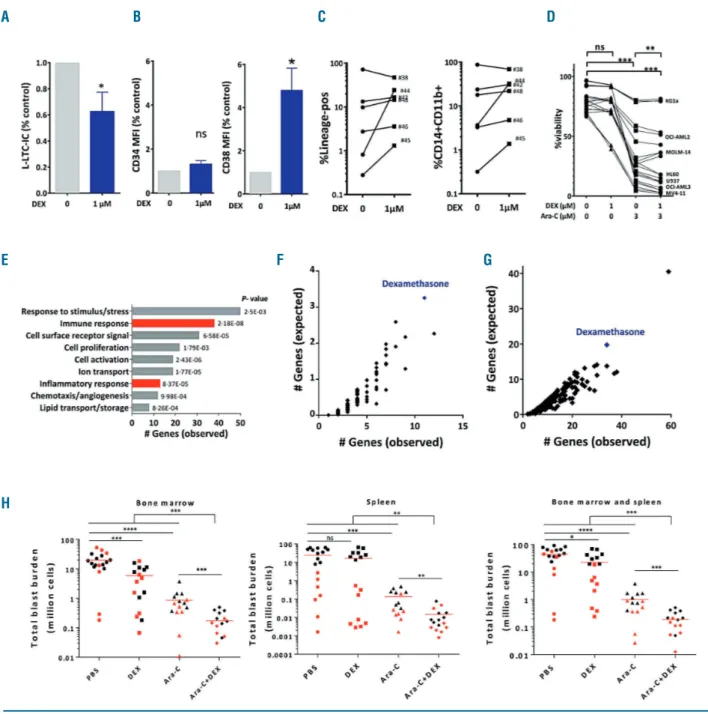 Figure 3. Impact of dexamethasone on chemoresistance. (A) Leukemia long-term culture initiating cell (L-LTC-IC) frequency in acute myeloid leukemia (AML) samples upon dexamethasone treatment (#38 to 49, Online Supplementary Table S8)