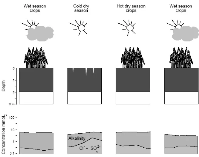 Fig.  9.  Evolution  of  soil  solution  chemistry  at  a  depth  of  0.3  m  during  the  different  seasons  at  the  Fanaye site