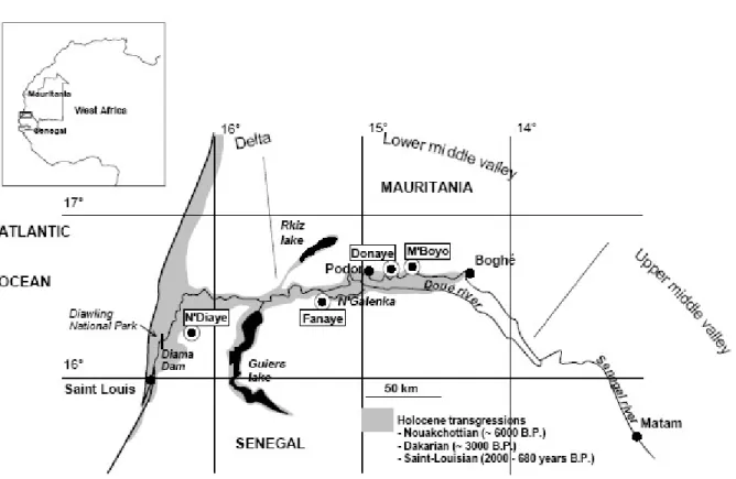 Fig.  1.  The  Senegal  valley,  extension  of  the  holocène  transgressions  and  location  of  the  monitored  sites