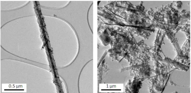 Fig. 13. TEM picture of NT500 (NT calcined at 500 °C) before (left) and  after (right) H 2  evolution  test