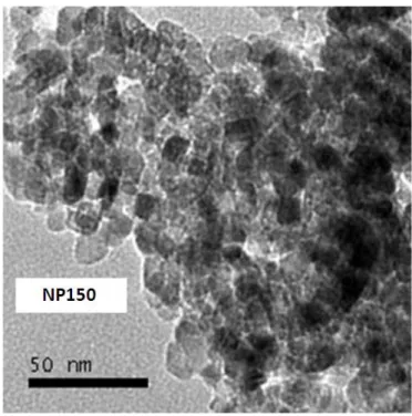 Fig. 3. TEM picture of the nanoparticles NP 150, calcined at T = 150 °C, from the alkaline suspension  (pH=10)