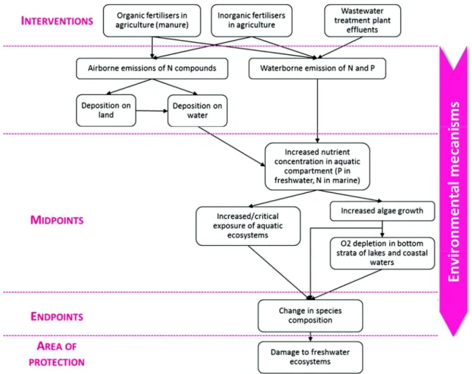 Figure  4.  Flow  diagram  of  the  cause  and  effect  chain  for  aquatic  eutrophication  (ReCiPe  method):  from  human  interventions  to  the  midpoint  impacts,  and  finally  the  endpoint  damages  on  Ecosystem  quality  (based  on  ILCD  Handboo