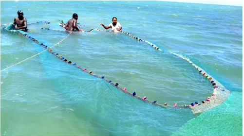 Figure  0.6 :  Petits  pêcheurs  pratiquant  la  pêche  aux  juvéniles  de  poissons  dans  les  zones  d’herbiers  du  sud-ouest  de  Madagascar  en  utilisant  une  senne  de  fond  constituée  de  toile  moustiquaire