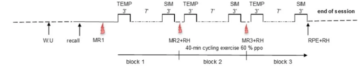 Figure 1. General procedure of each experimental session. (WU = Warm Up; Recall = Cognitive tasks  recall; TEMP = Duration Production task; SIM = Simon task; MR = mouth rinsing; RH = Rehydration; 