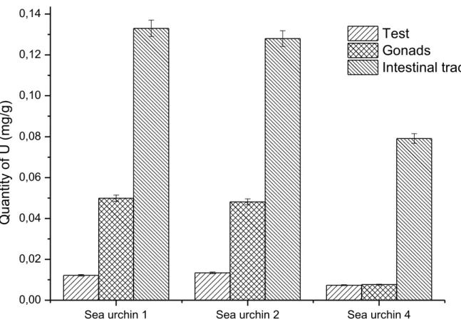 Figure 2: Uranium concentration (in mg/g, elemental U) for the three compartments of the sea urchins 1, 2  503 
