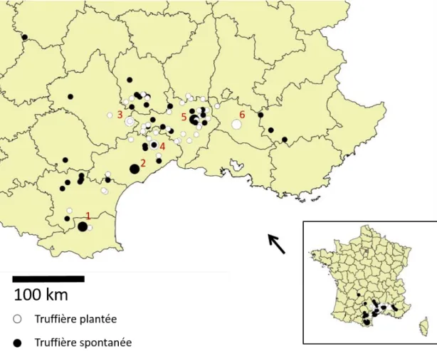 Figure 10. Carte des sites d’échantillonnages, avec un focus sur la principale zone d’échantillonnage  (Languedoc-Roussillon), précisant le type de truffière (spontanée ou plantée)