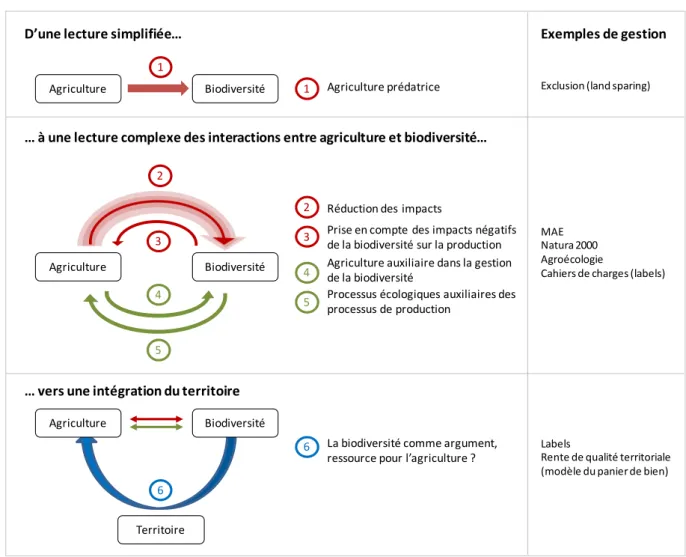 Figure 5. Une lecture des interactions agriculture-biodiversité qui se complexifie 