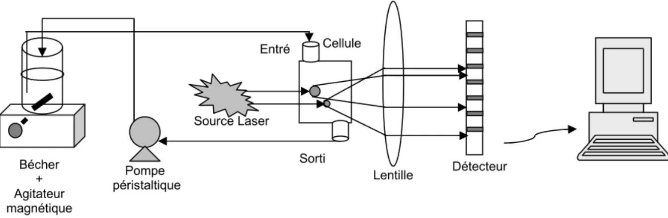 Figure II-11 : Schématisation de la mesure granulométrique de la suspension 