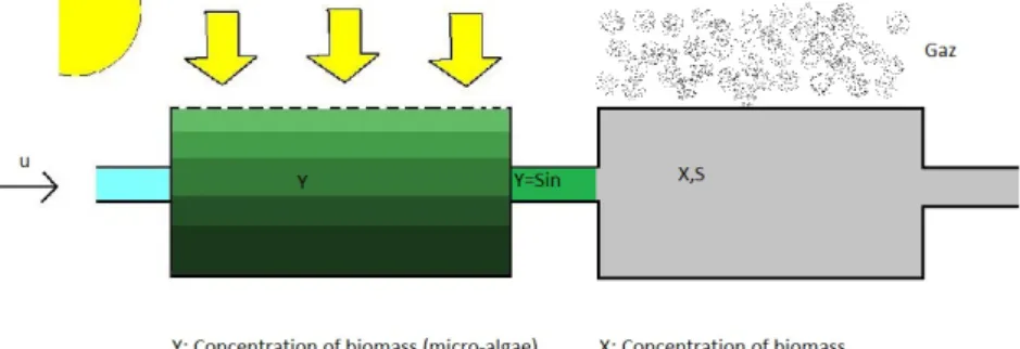 Figure 1: Coupled bioreactors for microalgae growth and anaerobic digestion. Microalgae y serve as input substrate in the second reactor.