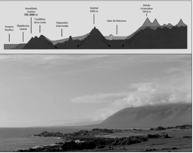 Figura 2. (Arriba) Perfi l transversal del desierto de Atacama a la altura de Antofagasta  (modifi cado desde McKay et al