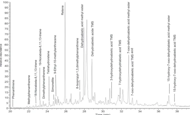 Fig. 2. GC – MS TIC chromatogram of organic remains sample referred GC2SN6 (TMS: trimethylsilylation).