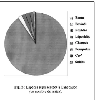 Fig. 5 : Espèces  représentées  à  Canecaude  (en  nombre de restes). 