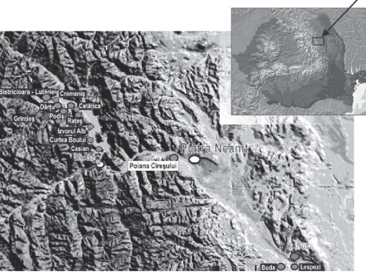 Fig. 1: The site of Poiana Cires¸ului in relation to other Upper Paleolithic sites in the Bistrit¸a Valley.