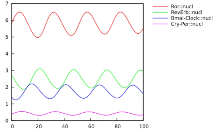 Figure 3: Simulation trace of the concentrations of the clock gene products in the nucleus over a time horizon of 100h in the model of Relogio et al