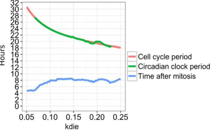 Figure 8: Entrainment in period and phase of the circadian clock when the period of the cell cycle varies with the parameter kdie, with the activation of RevErb-α triggered by mitosis.