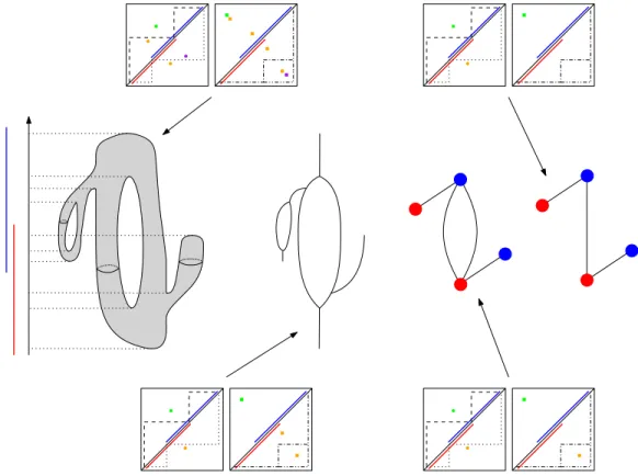 Figure 11: From left to right: a 2-manifold equipped with the height function; the corresponding Reeb graph, MultiNerve Mapper, and Mapper