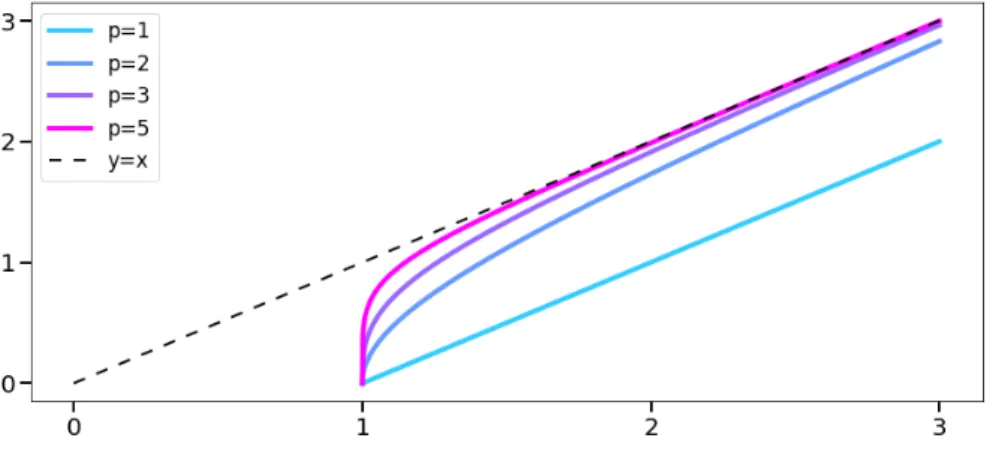 Figure 2: Graph of t 7→ r x (t) for f (x) = 1 and several values of p.