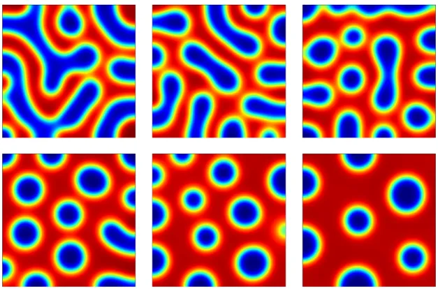 Figure 8: Sample patterns produced by the diblock copolymer model (8) on the two-dimensional square domain Ω = (0, 1) 2 