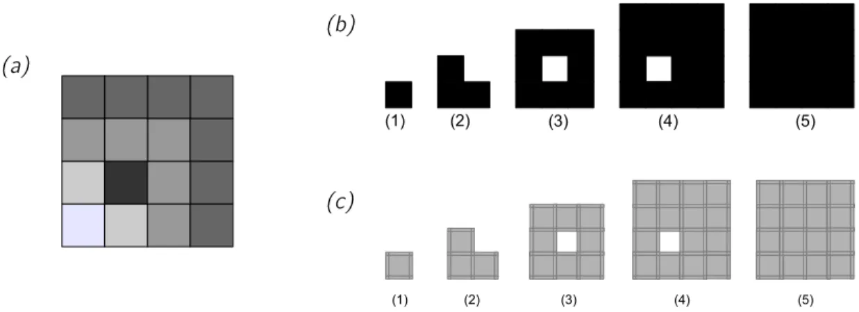 Figure 3: Cubical complexes and ltration assigned to a gray-scale image. The image is shown in (a) and consists of sixteen pixels
