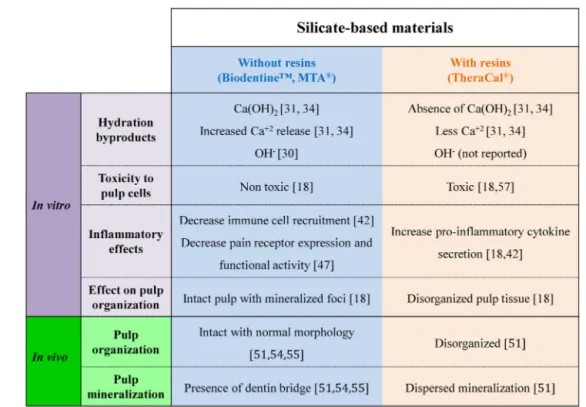 Fig. 7 – Biological effects of silicate-based materials on the dental pulp.