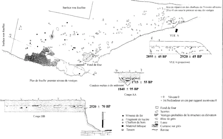 Fig. 12. Répartition des vestiges du niveau supérieur de la zone A.