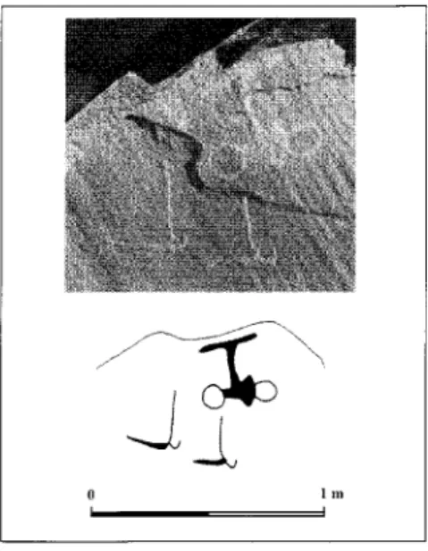 Fig.  7 . Char  à timon  simple  associé à deux  obiets coudés munis  de lames longues, fines, légèrement  arquées et orthogonales  aux  manches  (Tirist).