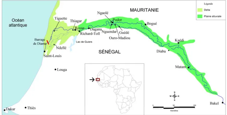 Figure 2. La vallée du fleuve Sénégal Pendant un millénaire, le sorgho de décrue 