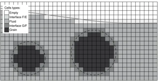 Figure 3. Grains and fluid discretization (cells types).