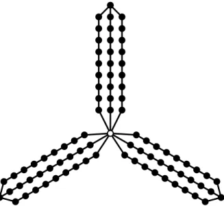 Figure 1: Part of the construction for obtaining 2-edge-connected graphs with arbitrarily large minimum degree but no P ` -decomposition for some `.