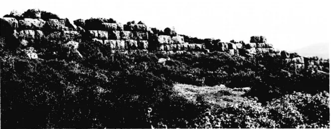 Fig.  4. — Acropole d'Akraiphia :  parement interne  du  rempart méridional. 