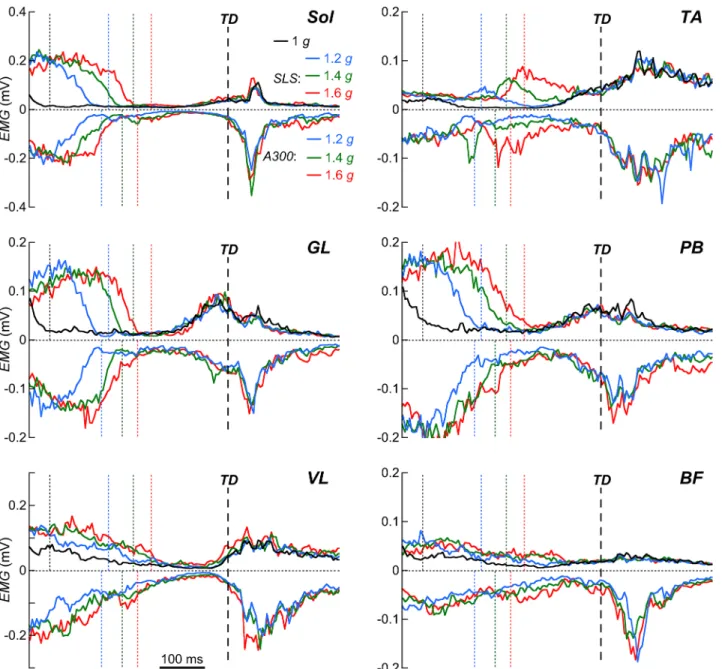 Fig 4. Effect of the experimental conditions on the EMG – pattern. EMG-patterns of soleus (Sol), tibialis anterior (TA), gastrocnemius lateralis (GL), peroneus brevis (PB), vastus lateralis (VL) and biceps femoris (BF) muscles are presented from 450 ms bef