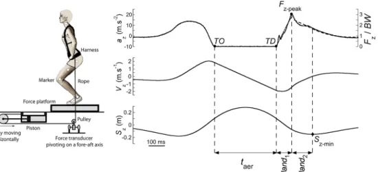 Fig 1. Experimental set-up (left) and typical trace in 1 g (right). Left: scheme of the experimental set-up in the laboratory to simulate hypergravity