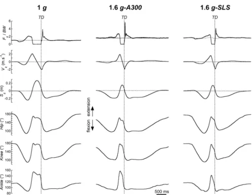 Fig 2. Counter-movement jump in 1 g and 1.6 g. Typical traces of the kinetics and kinematics as a function of time, during a counter-movement jump (CMJ) of a female subject (54 kg, 1.65 m, 23 yo)