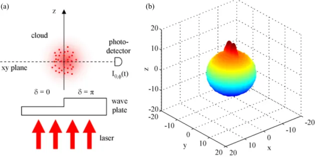 FIG. 7. Phased cloud. (a) The cloud is excited by a laser propagating along the z axis, which goes through a wave plate such as the half space y &gt; 0 of the cloud is excited with a phase shift of δ = π compared to the atoms in the half space y &lt; 0
