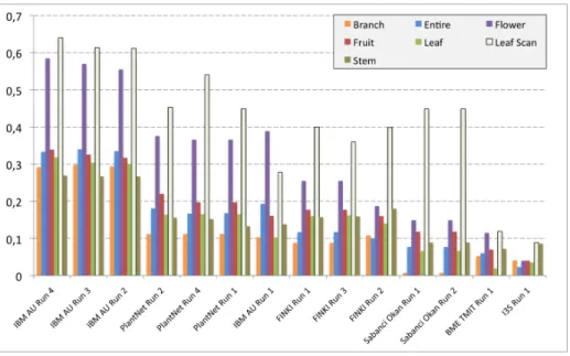 Fig. 4. Overview of the detailed image scores by organ/view.