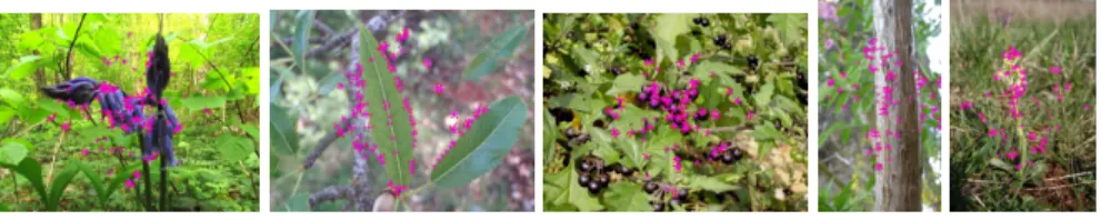 Fig. 1. Examples of interest points detection with rhomboid-based mask and with grid-based weighting