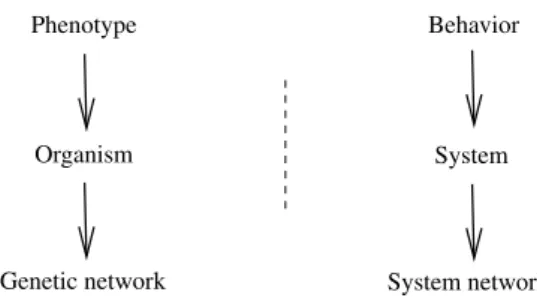 Figure 1. Analogy between biological and dynamic systems. Each arrow corresponds to a speciﬁcation link, in the sense that more information is known about the structure of the system.