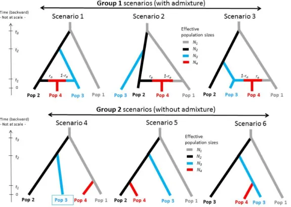 Fig. 10. Six evolutionary models considered for model choice, observed data comes from the third one