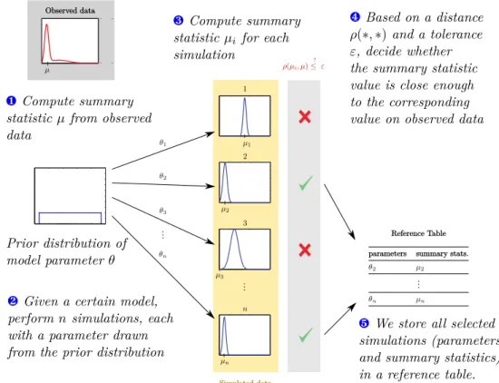 Fig. 1. ABC simulations to generate the Random Forest training database